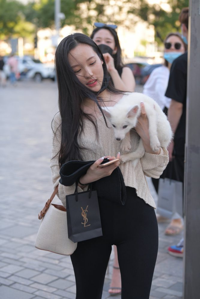 抱着小狗的漂亮女孩 J2106 136P-3.25GB-图嘿嘿